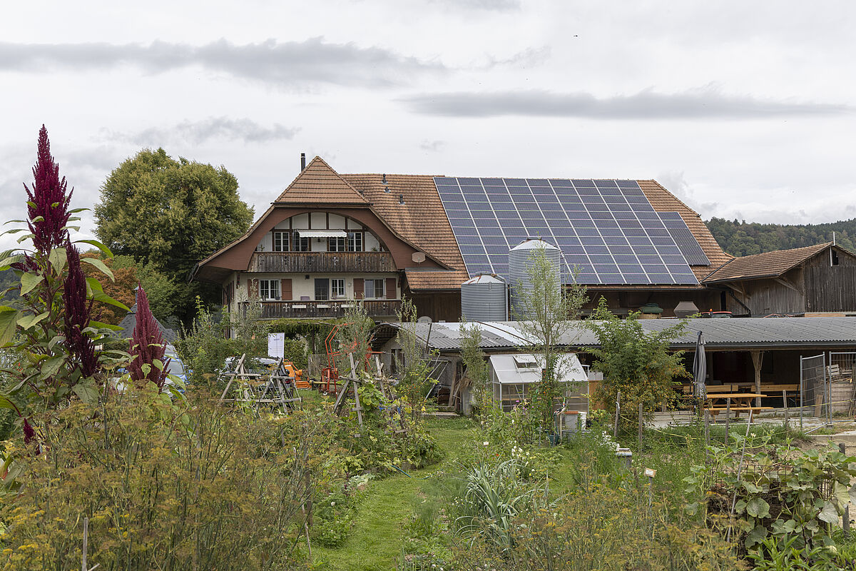 ProTier Hoftage 2026